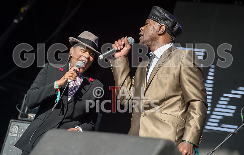 The Selecter-59 - THE SELECTER