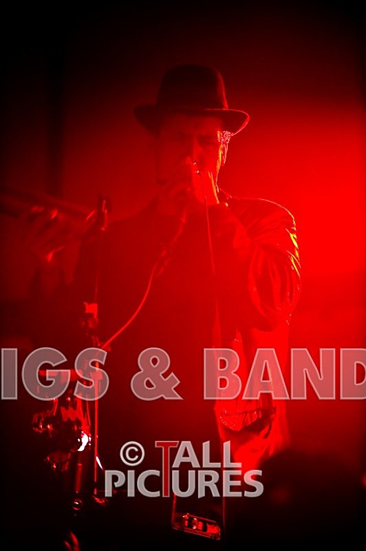 Greenman_Music-86 - GREENMAN CHAOS FESTIVAL 2008 BANDS