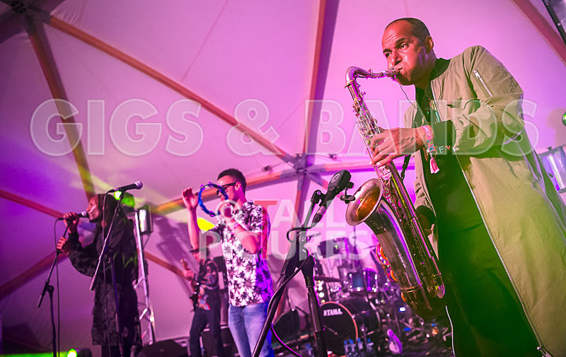 The Beat-53 - THE BEAT