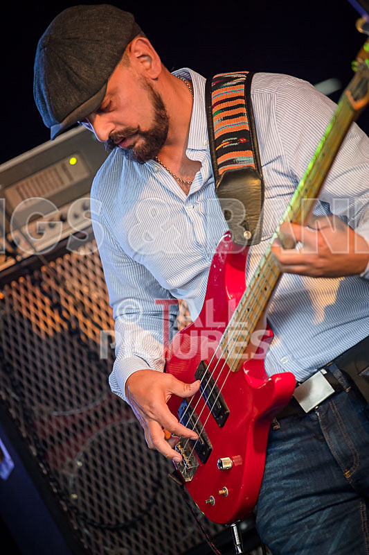 Rat Salad-5 - RAT SALAD