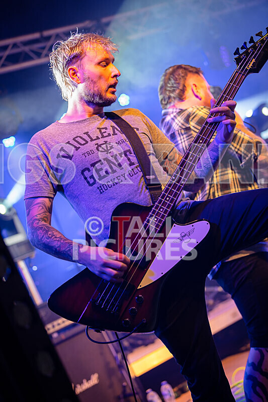 Granite Wolf-84 - GRANITE WOLF