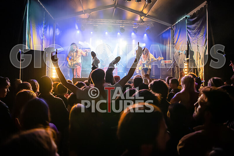 Vale Earth Fair 2020_THE SCENE-2 - VALE EARTH FAIR 2020_THE SCENE