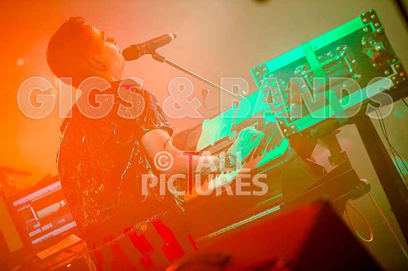 Fade2Grey-404 - FADE2GREY