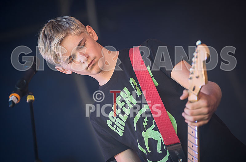 Acoustic Accord-24 - ACOUSTIC ACCORD