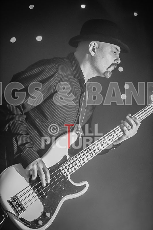 Peppered Ant Legs-160 - PEPPERED ANT LEGS