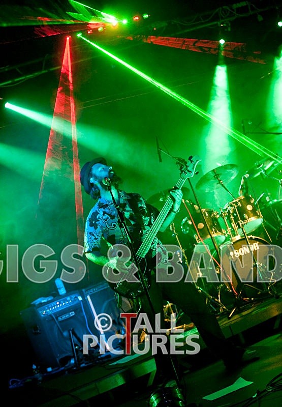 Peppered Ant Legs-31 - PEPPERED ANT LEGS at RoA-3