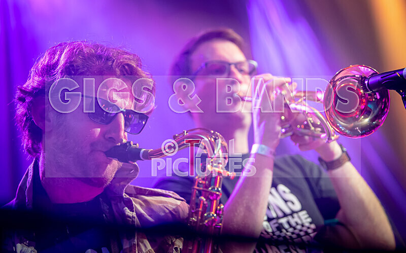 Sons of the Desert-445 - SONS OF THE DESERT