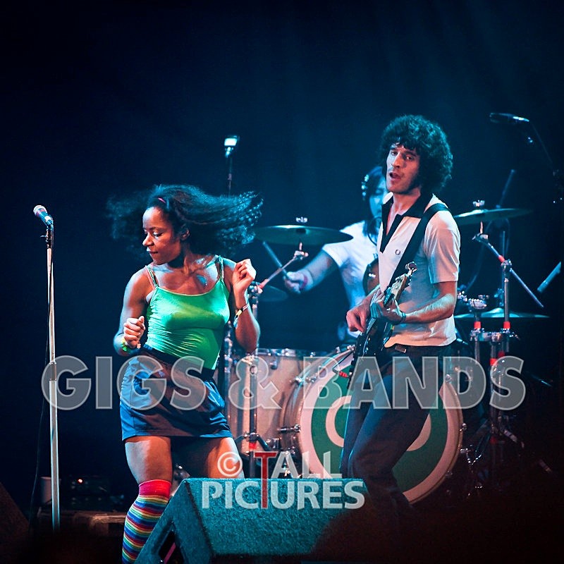 Go Team-22 - THE GO! TEAM