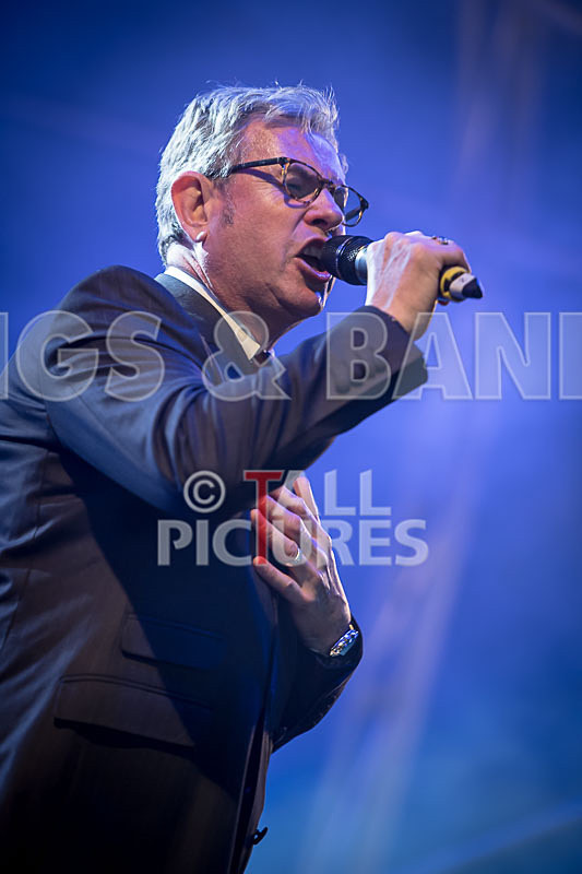 King Rat and the Soul Cats-264 - KING RAT AND THE SOUL CATS