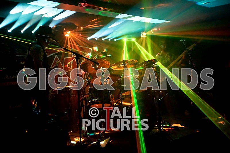 Peppered Ant Legs-134 - PEPPERED ANT LEGS