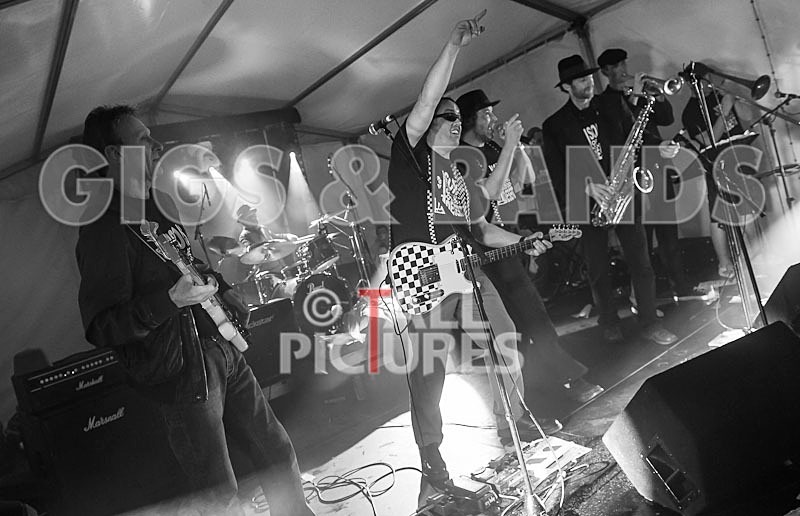 Sons of the Desert_Lib Day_2012-30 - SONS OF THE DESERT