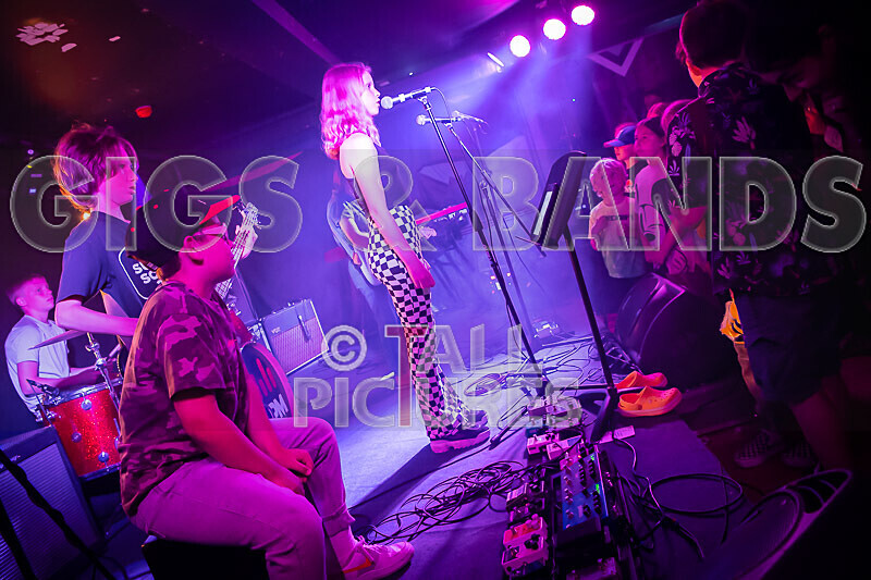 Crocspiracy-24 - CROCSPIRICY