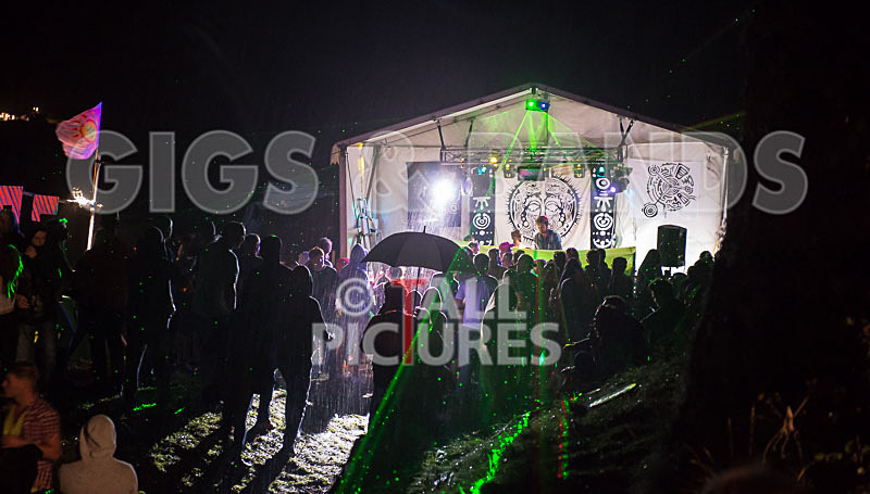 Vale Earth Fair 2015_Atmosphere-54 - VALE EARTH FAIR 2015_THE ATMOSPHERE