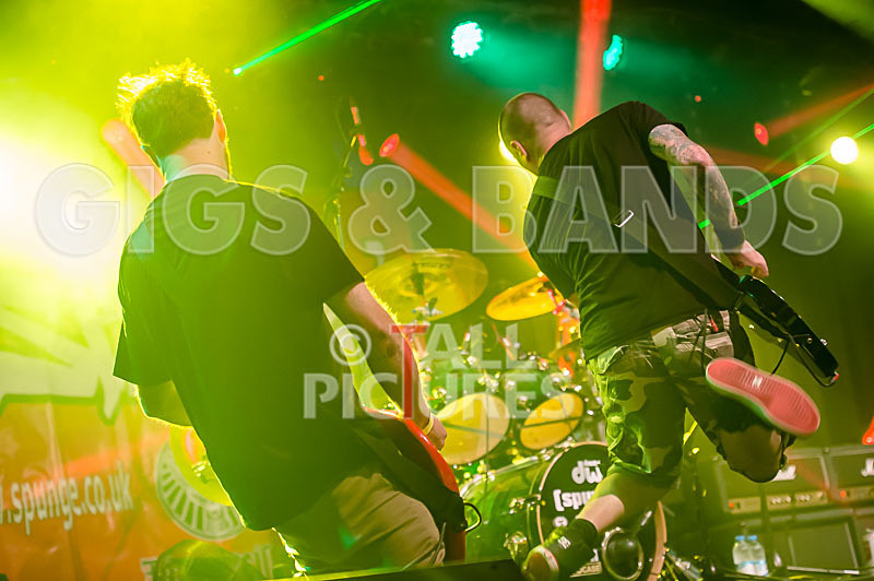 Spunge-88 - [spunge]