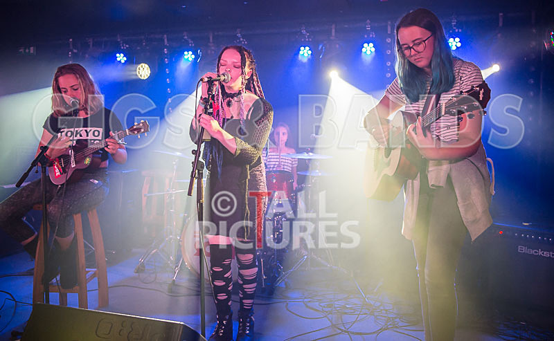 Avacado Geff-9 - AVACADO GEFF