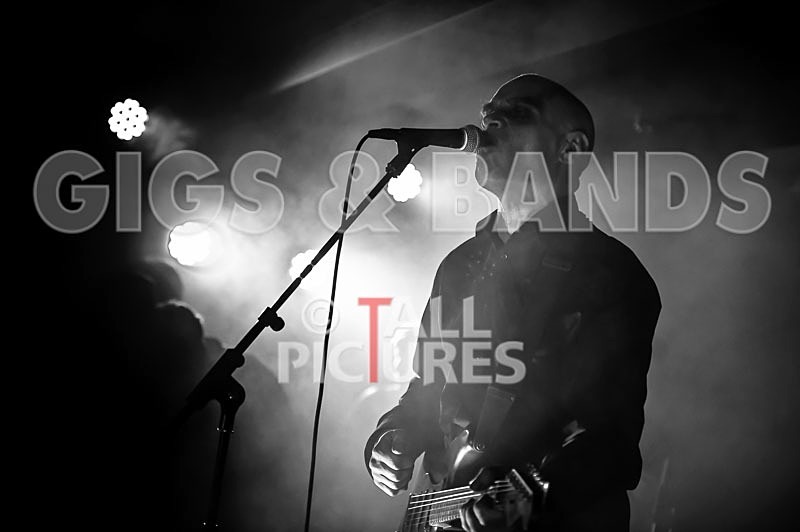 The Wilko Johnson Band-37 - THE WILKO JOHNSON BAND