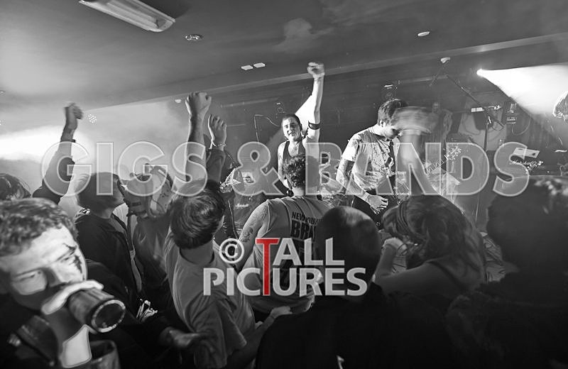 Brutus Stonefist-141 - BRUTUS STONEFIST