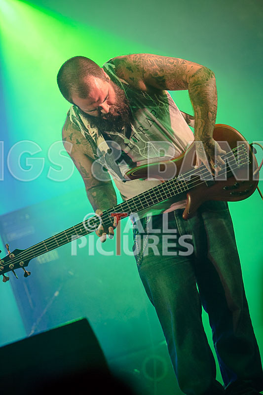 Static Alice-557 - STATIC ALICE