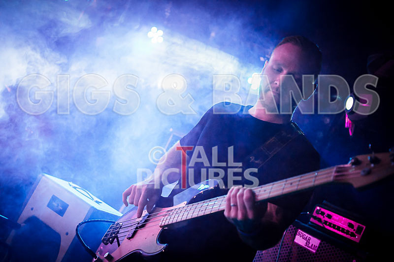 Tadhg Daly-70 - TADHG DALY