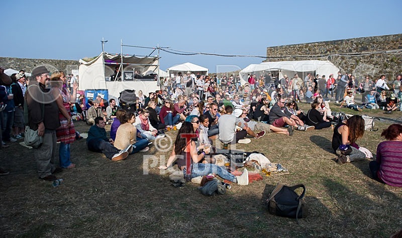 Vale Earth Fair_2013_Atmosphere-23 - VALE EARTH FAIR 2013_THE ATMOSPHERE