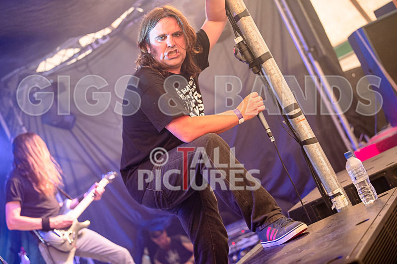 Crazy Babies-95 - CRAZY BABIES