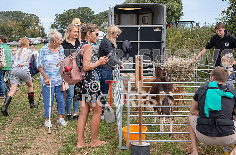 Guernsey Agricultural Show 2021-71 - GUERNSEY AGRICULTURAL SHOW 2021