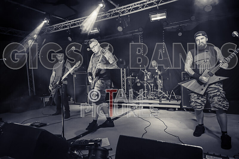 Demise of Sanity-211 - DEMISE OF SANITY