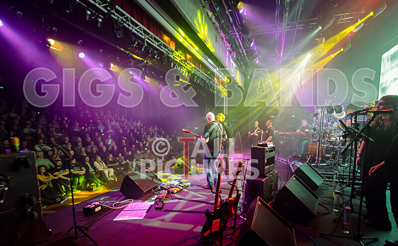 Elysium as Pink Floyd-158 - ELYSIUM as PINK FLOYD