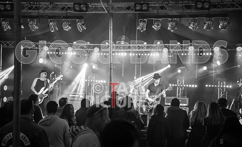 Peppered Ant Legs-236 - PEPPERED ANT LEGS