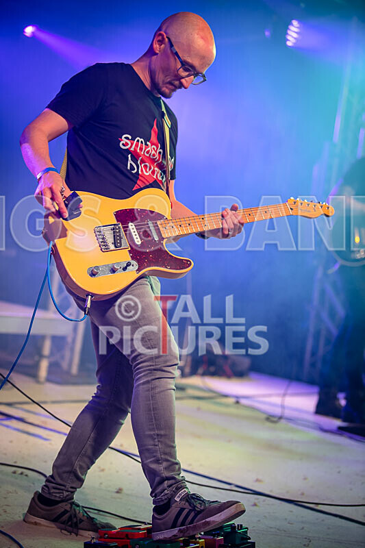 Foxy Stoat Seeks Pig-33 - FOXY STOAT SEEKS PIG