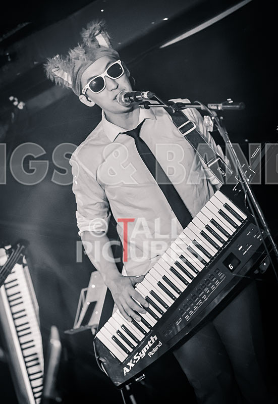 The Erawigs-94 - THE ERAWIGS