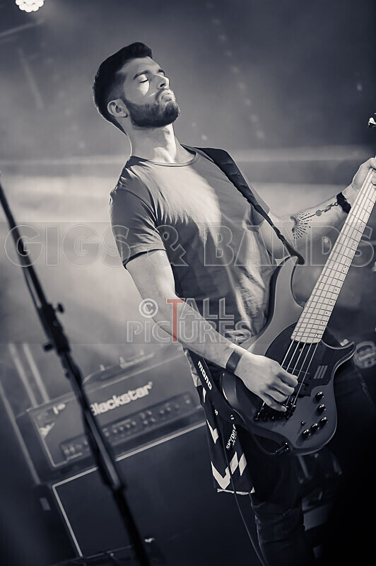 Demise of Sanity-234 - DEMISE OF SANITY