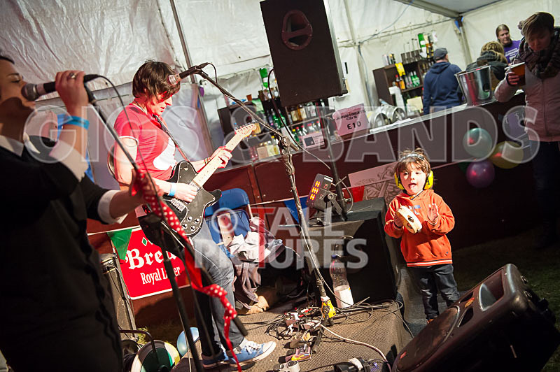 Swallows-13 - SWALLOWS