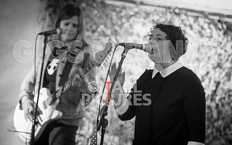 Swallows-14 - SWALLOWS