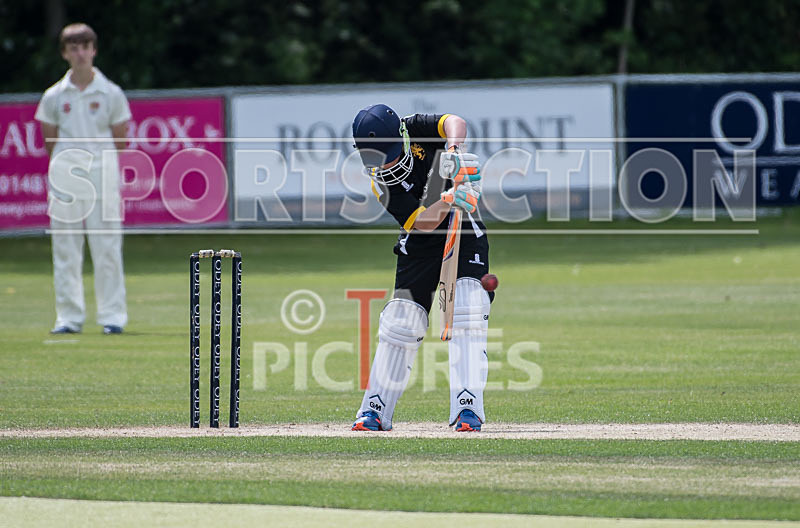 Cricket at KGV_27-05-2017-34 - CRICKET AT KGV_27-05-2017