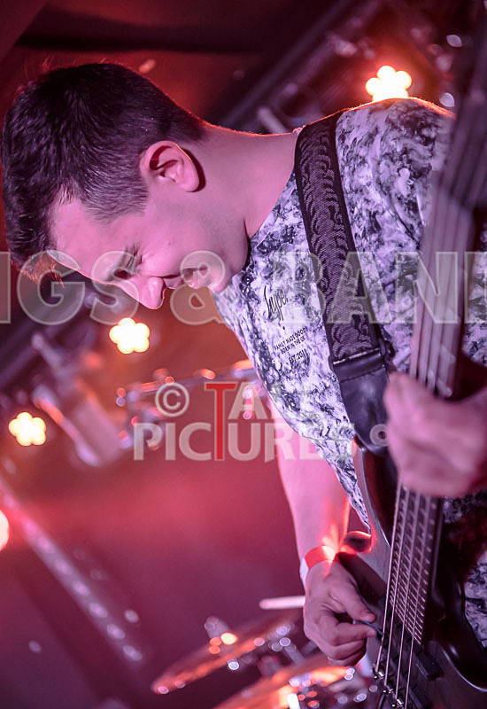 To the Woods-417 - TO THE WOODS