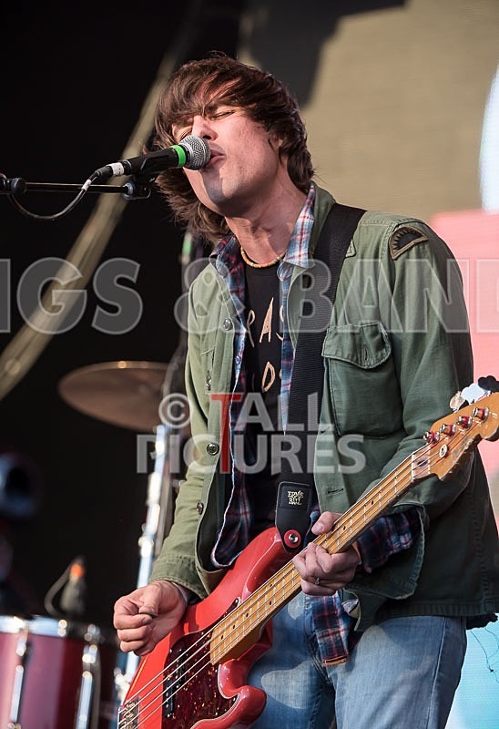 The Cribs-22 - THE CRIBS