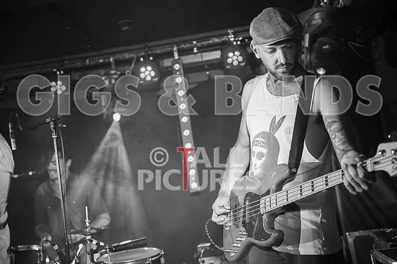 Tropical Zombie-9 - TROPICAL ZOMBIE