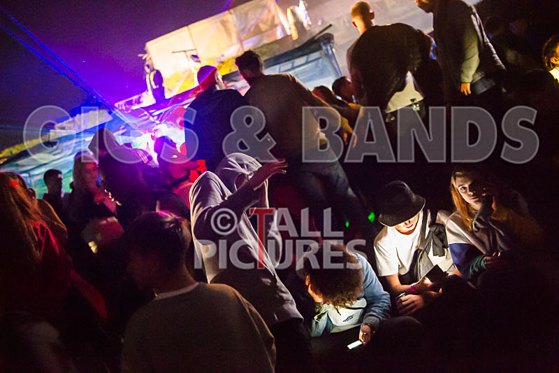 Vale Earth Fair 2018_SCENE-25 - VALE EARTH FAIR 2018_THE SCENE