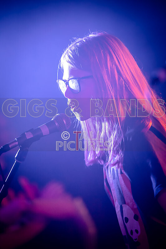 The Diehearts-12 - THE DIEHEARTS