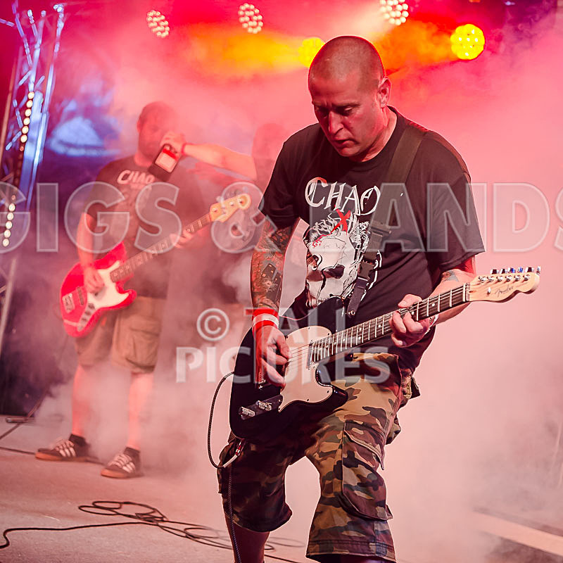 Spunge-161 - [spunge]