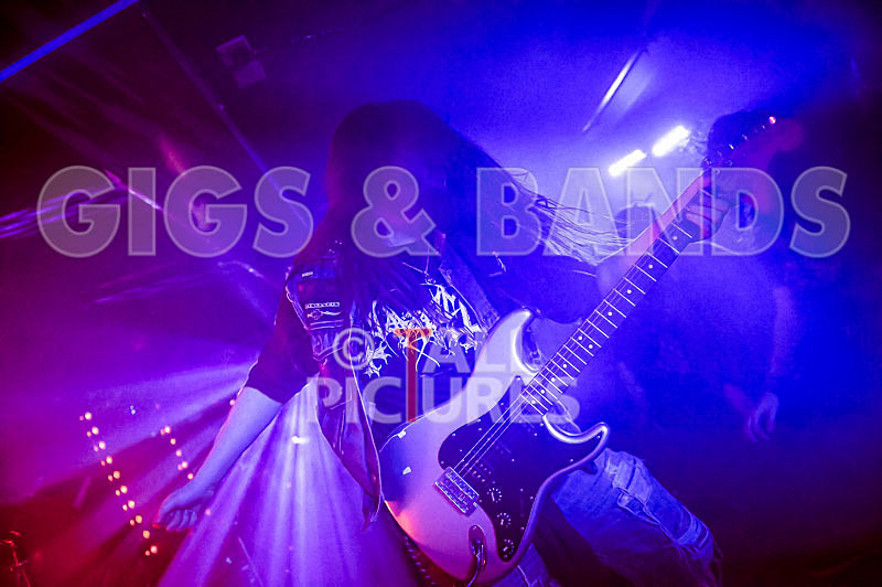 Stone Em All-174 - STONE EM ALL