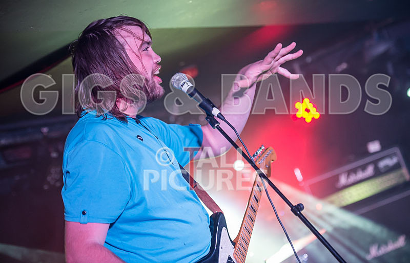 To the Woods-84 - TO THE WOODS