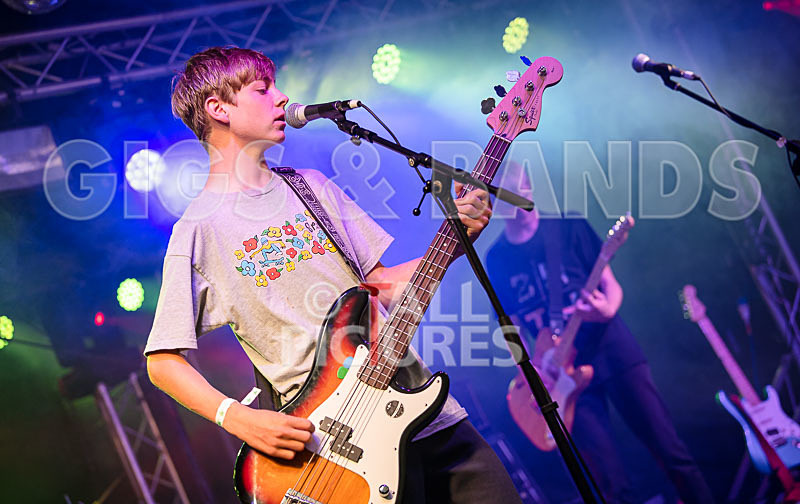 Cosmic Fish-60 - COSMIC FISH