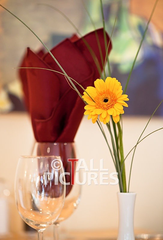 Duke of Normandie Hotel-94 - DUKE OF NORMANDIE HOTEL