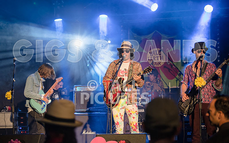 Surfin Birds-24 - SURFIN' BIRDS