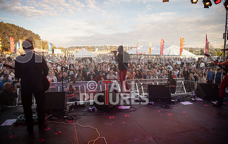 The Rubix-141 - THE RUBIX