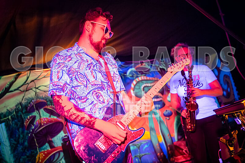 Honest Crooks-253 - HONEST CROOKS