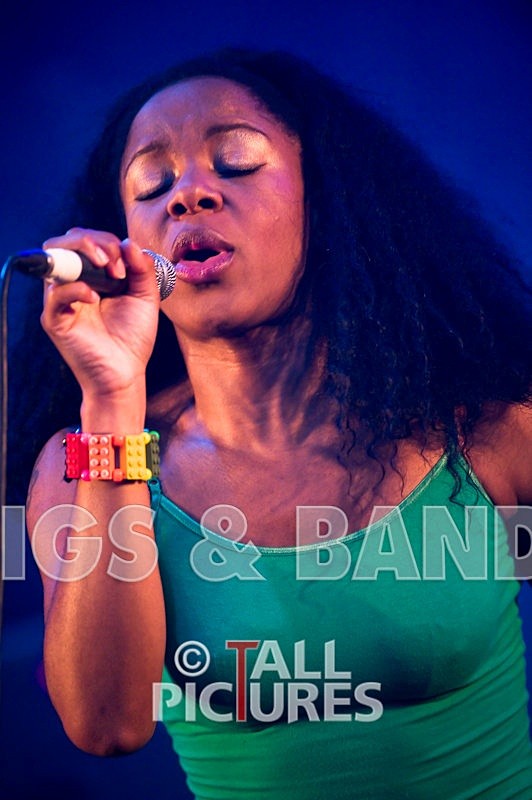 Go Team-15 - THE GO! TEAM