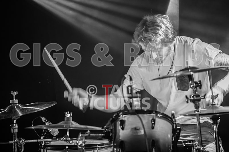 To the Woods-103 - TO THE WOODS